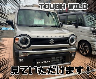 タフワイルドがやってきた！！